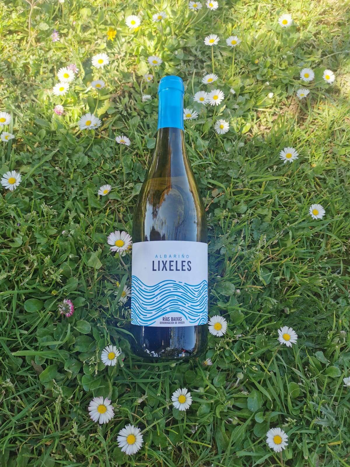 Botella de Lixeles Albariño sobre la hierba entre margaritas